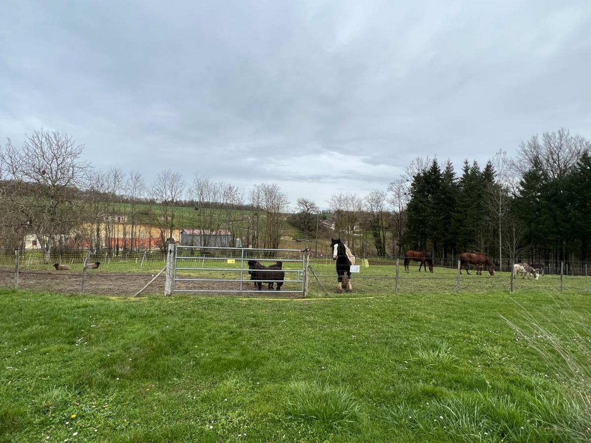 Châteauvieux Le Hameau Du Peuヴィラ エクステリア 写真